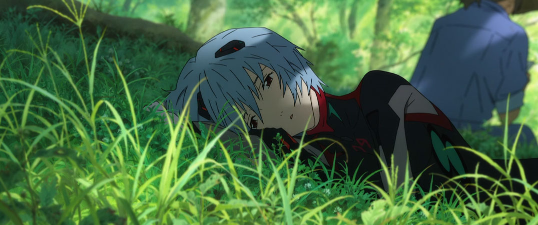 Rei laying in the grass looking depressed in the shade